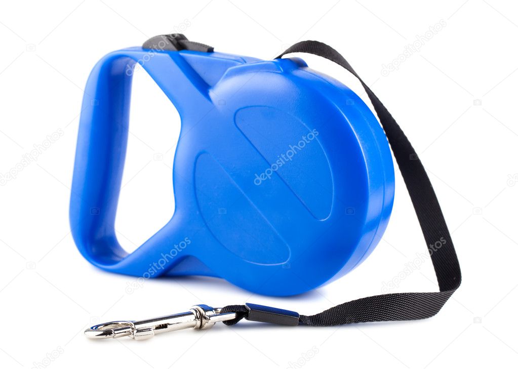 Blue retractable leash for dog