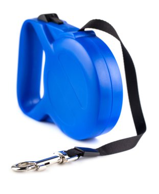 Mavi retractable kira kontratı köpek için