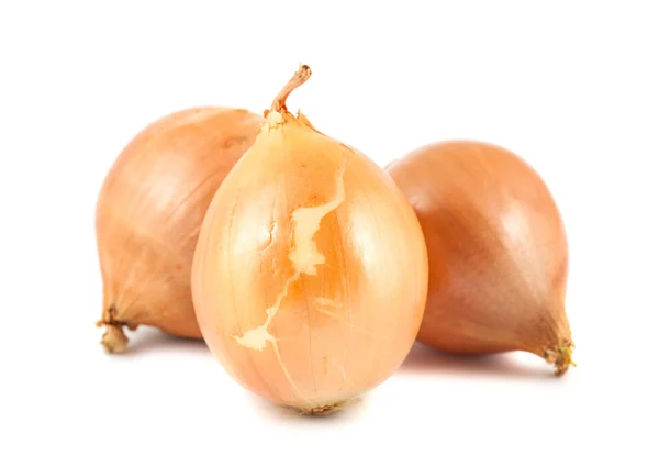 Three fresh golden onions — Stock Photo, Image