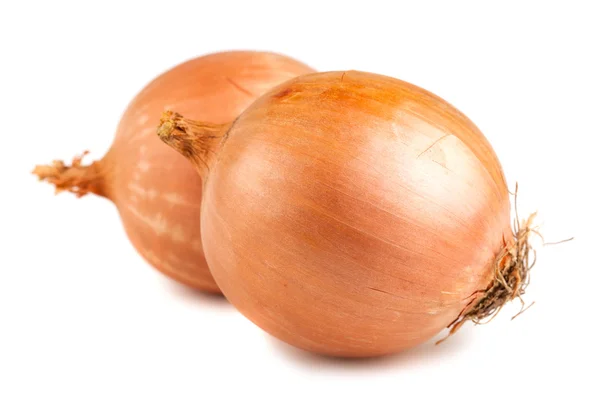 Two ripe yellow onions — Stock Photo, Image