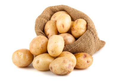 Ripe potatoes in a burlap bag clipart