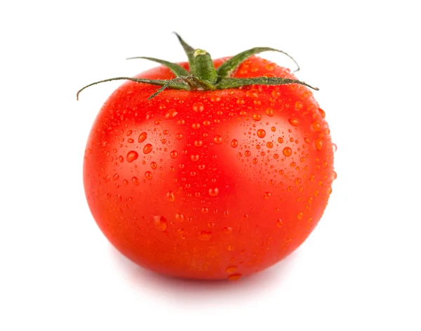 Jeden czerwony pomidor z kropli wody — Zdjęcie stockowe