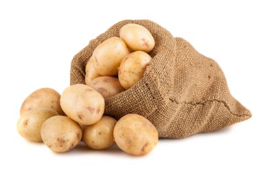 çuvala olgun patates