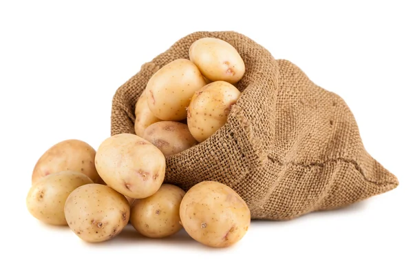 Ripe potato in burlap sack — Stock Photo, Image