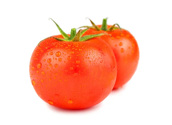 Two ripe red tomatoes with water drops — Stock Photo, Image