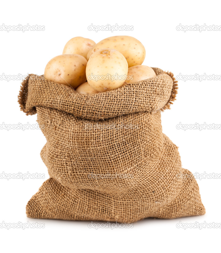 Ripe potatoes in burlap sack