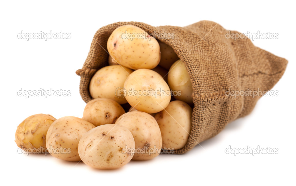 Burlap sack with potato