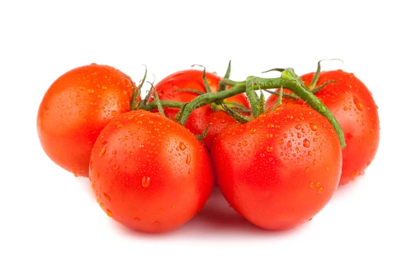 Dojrzałe pomidory czerwone krople wody — Zdjęcie stockowe