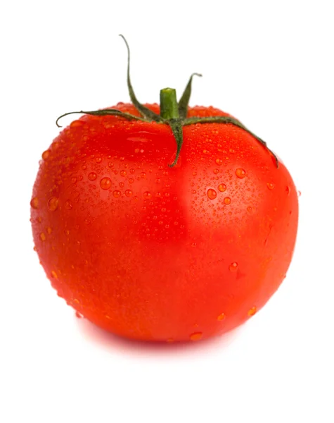 Спелые красные помидоры с капельками воды — стоковое фото