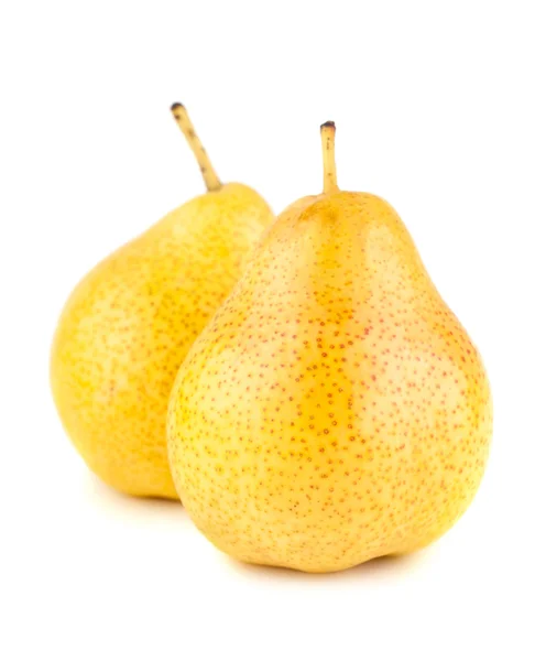 Dos peras amarillas maduras —  Fotos de Stock