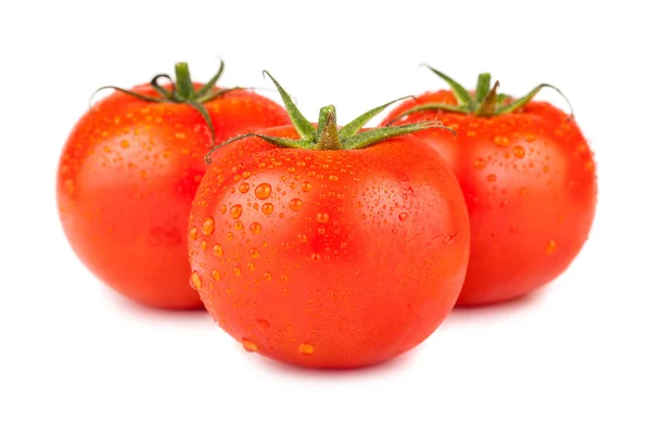 Three ripe red tomatoes with water drops — Stock Photo, Image