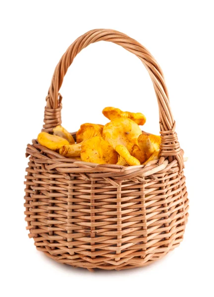 Wicker basket with chanterelle mushrooms — Stock Photo, Image