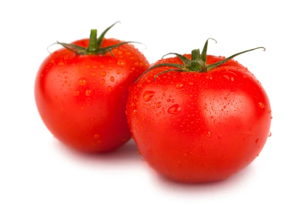 Para czerwony dojrzałe pomidory — Zdjęcie stockowe