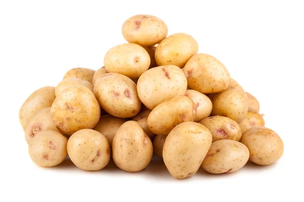Big heap of ripe potato — Stock Photo, Image