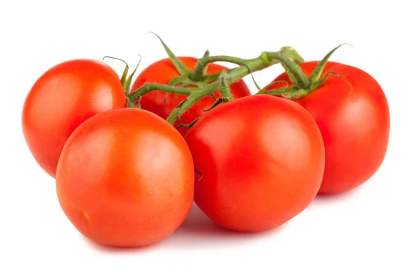 Ripe red tomato with branch — Stock Photo, Image