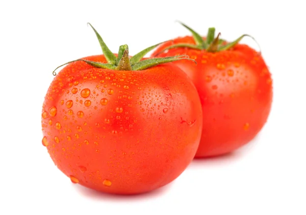 Par de tomates rojos maduros —  Fotos de Stock