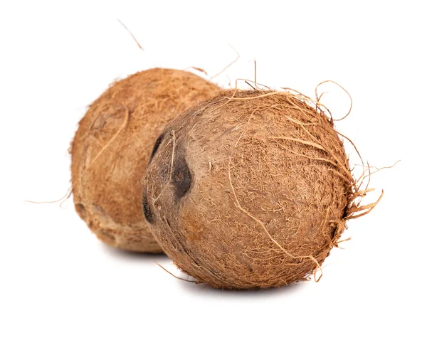 Två mogna kokos — Stockfoto