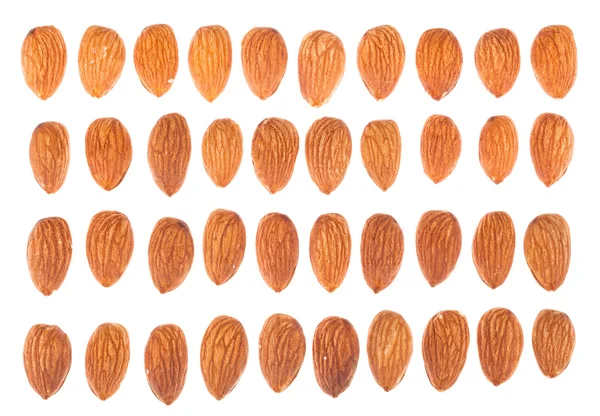 Almond nuts collection — Stock Photo, Image