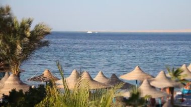 Kızıldeniz Sahili
