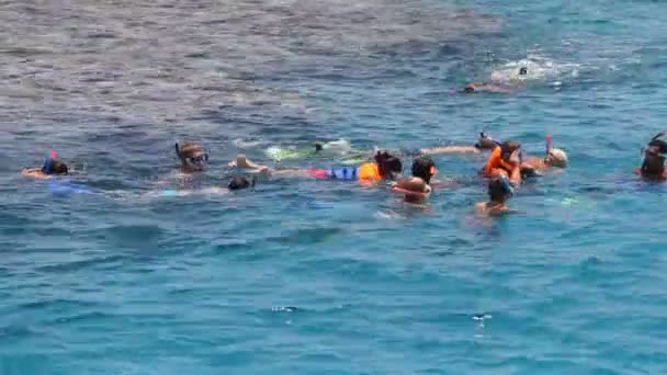 Turistas mergulham com máscara — Vídeo de Stock