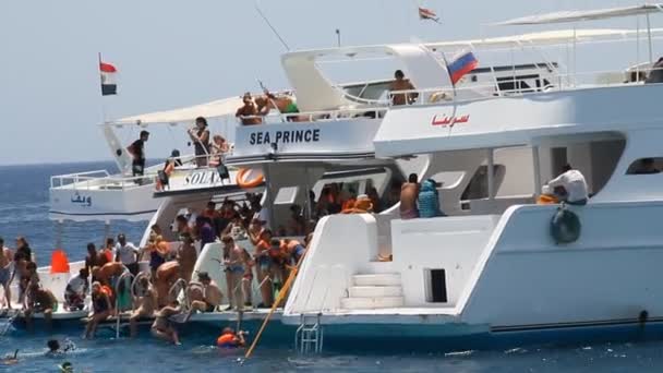 Turistas bucean con máscara — Vídeos de Stock