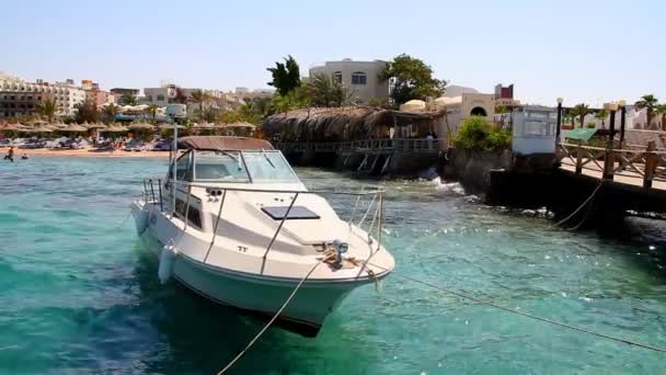 Viaje en barco — Vídeo de stock