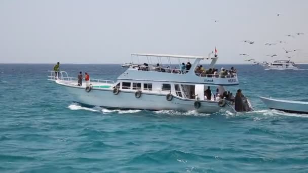 Viaje en barco — Vídeos de Stock