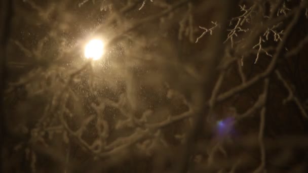 Inverno neve sfondo — Video Stock