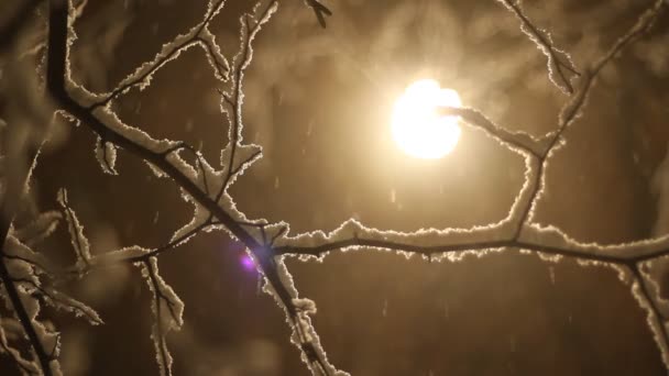 Vinter snö bakgrund — Stockvideo