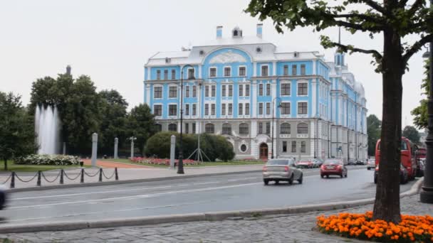 Улицы Санкт-Петербурга — стоковое видео