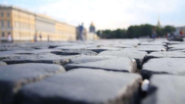 The Palace Square — Stock Video