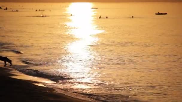 Salida del sol sobre el mar — Vídeos de Stock