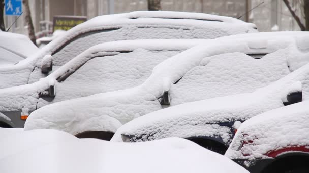 Los coches están cubiertos de nieve blanca — Vídeo de stock