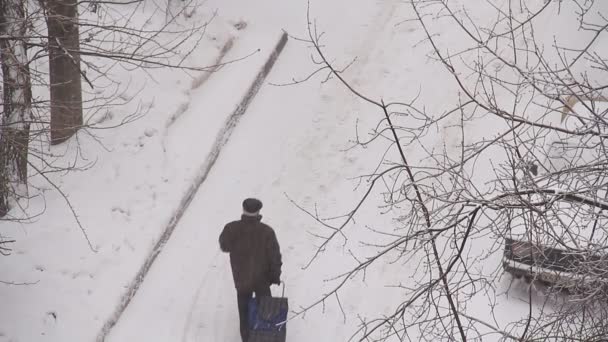 Caminar por la calle nevada — Vídeos de Stock