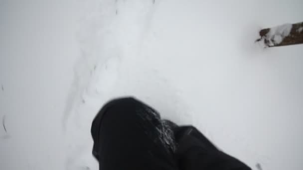 Caminhar nos bosques de inverno — Vídeo de Stock