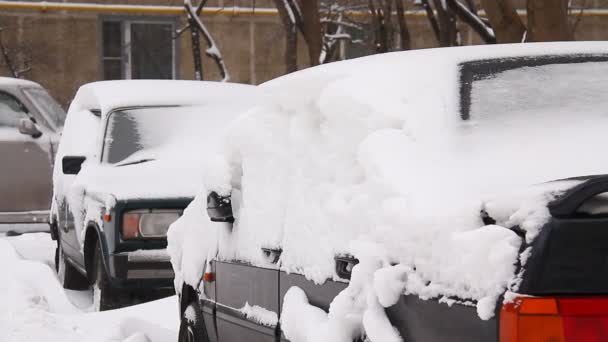 Auto zijn bedekt met witte sneeuw — Stockvideo