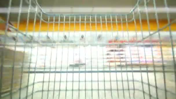 Supermarkt — Stockvideo