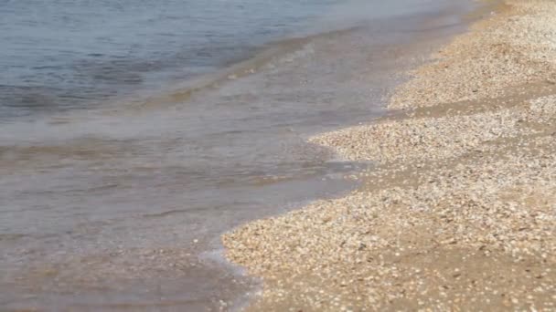 Küçük bir dalga ile güzel bir plaj — Stok video