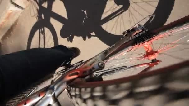 Séta a kerékpár — Stock videók