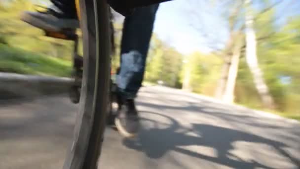 自転車の上を歩く — ストック動画