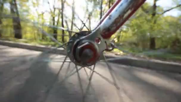 Séta a kerékpár — Stock videók