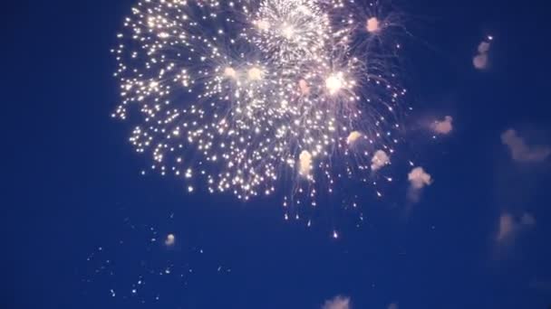 Celebrazione di accensione di grandi fuochi d'artificio di notte . — Video Stock