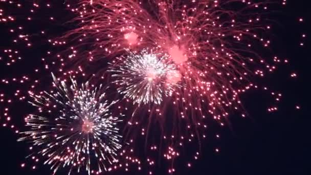 Viering van verlichting af grote vuurwerk 's nachts. — Stockvideo
