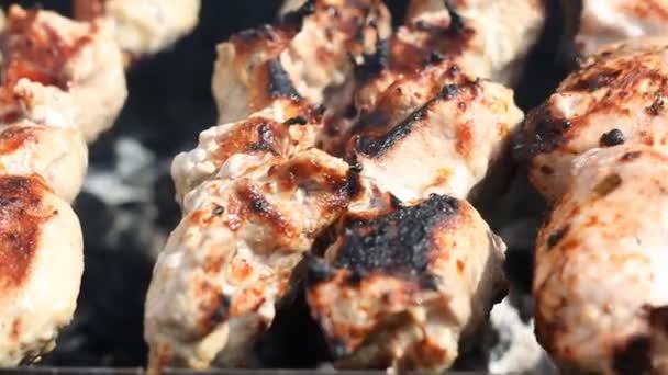 Shashlik memanggang di panggangan pada hari musim panas alam — Stok Video