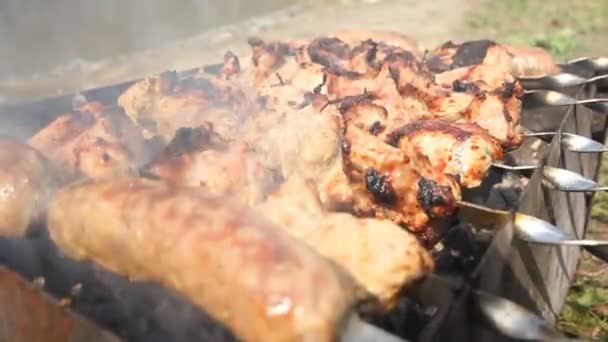 Shashlik asado en la parrilla en la naturaleza el día de verano — Vídeos de Stock