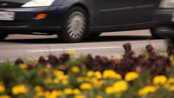 Автомобіль, що їде по шосе — стокове відео