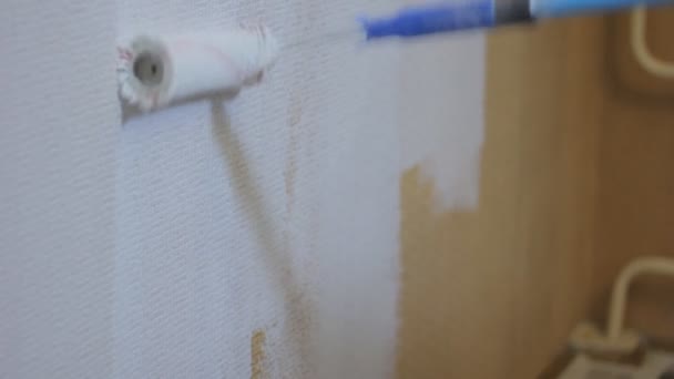 Roller painting wall — Stock Video