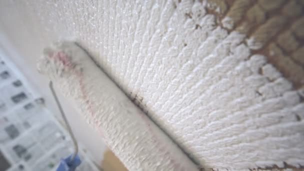 Rullo pittura parete — Video Stock