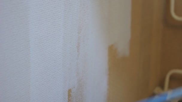 Roller painting wall — Stock Video