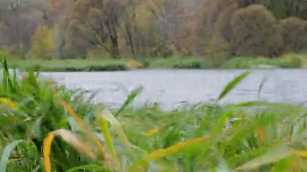 Lac de vent fort 